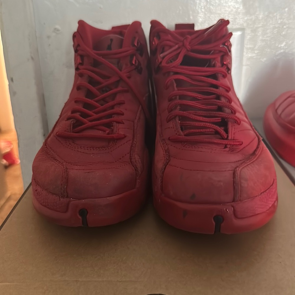 Jordan retro 12